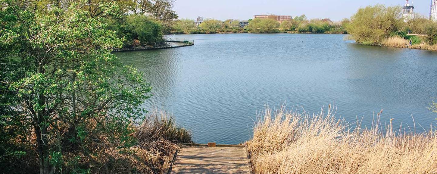 Walthamstow Wetlands